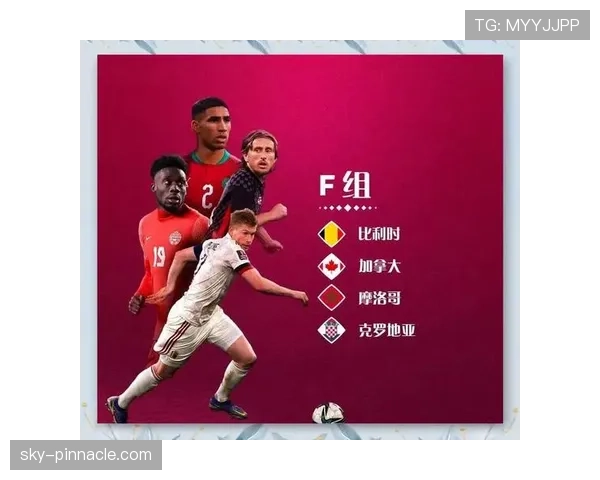 世界杯F组头名归属预测 世界杯F组头名归属预测