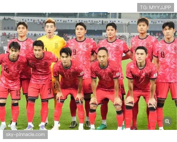 韩国队世界杯出线次数排名亚洲前列